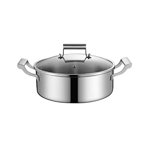 Juego de vaporera doble de acero inoxidable de 30 cm con tapa, compatible con todas las estufas, perfecto para cocinar alimentos al vapor y preparar comidas saludables.