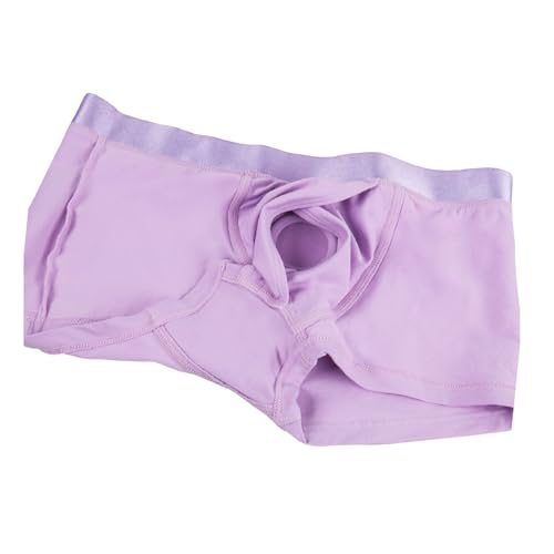 Harness Boxers for Strap with O Ring Strapless Strap on Boxers for Women Couples Harness Strap On Panties Underwear3