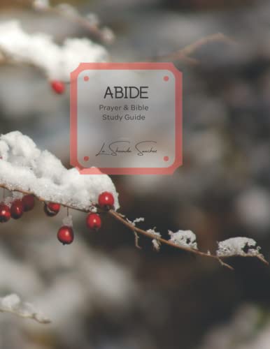 Abide: Prayer & Bible Study Guide