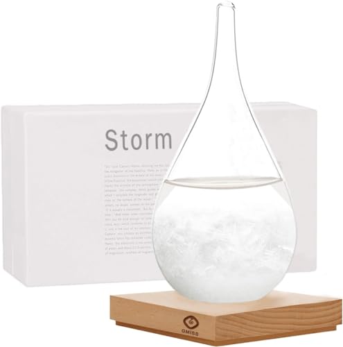 Storm Glass Weather Predictor,Christmas Snow Globe Storm Glass Barometer Weather Predictor, Home and Office Decorative Glass Bottles, Christmas Unique Gifts for Him