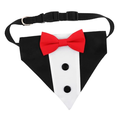 ifundom ߉\ȒlNtybgOp p悾ꂩ ^^ zfނŎ񌳉K 􂢂₷ ȃp[eB[