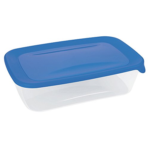 Curver 00555-139-01 Rechteckige Frischhaltedose Fresh und Go, 2 L, transparent/blau
