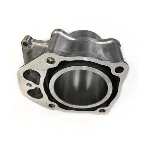Kit cylindre piston résout perte compression Rancher 420 - 5