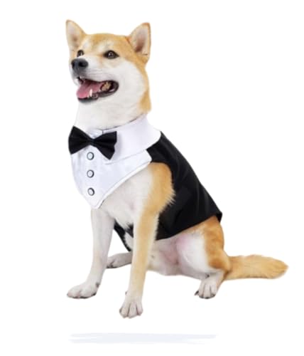 LumingLight ̕ACujOhXAȒlN^CAnEBANX}X̕ϐg (02,S)