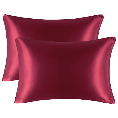 PiccoCasa Satin Pillow Cases 2 Pack