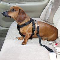 HDP Car Harness Dog Safety Seat Belt Gear Travel System Color:Pink