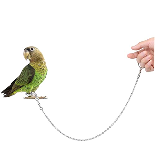 Mipcase Parrot Leash Stainless Budgerigar Flying Cockatiel Accessory Adjustable Walking Ring Train Training Macaw Fig Chain Bird Rope Steel Anklet for Pet Conure Harness Outdoor Fly - Image 4