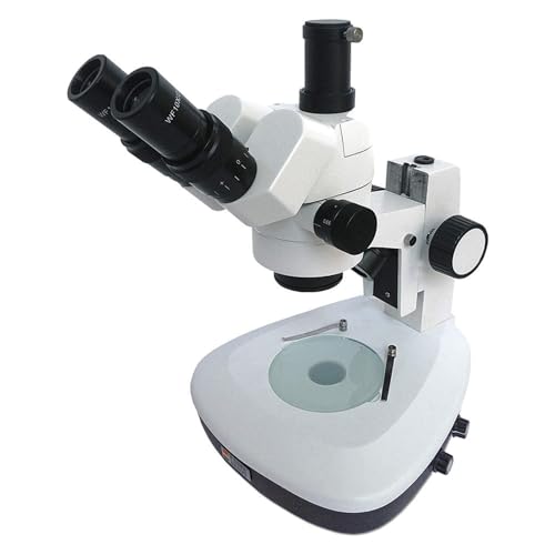 Image of D10-Z33 Series D10 Stereo Microscope, Trinocular Broad Range Zoom Head, 6.5X to 60X Magnification Range, 110V