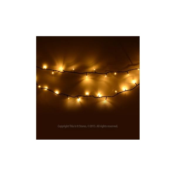 Premier Decorations – Lichterkette A LED für Innen und Außen, mit Zeitschaltuhr 50 LED's Bianco – Bild 5