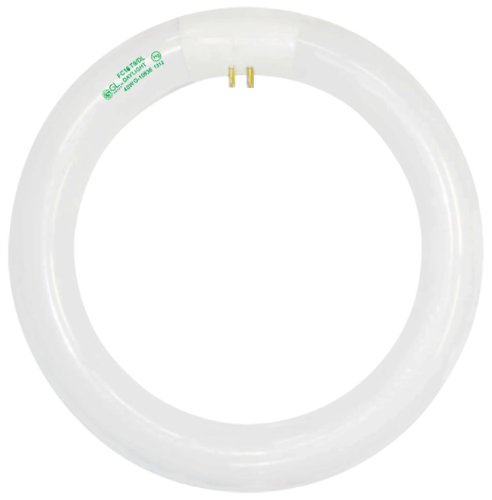 Goodlite G-10836 FC16T9/1C 40-watt T9 Circline 16-Inch Wide Fluorescent Tube Light Bulb with G10Q Base, Daylight