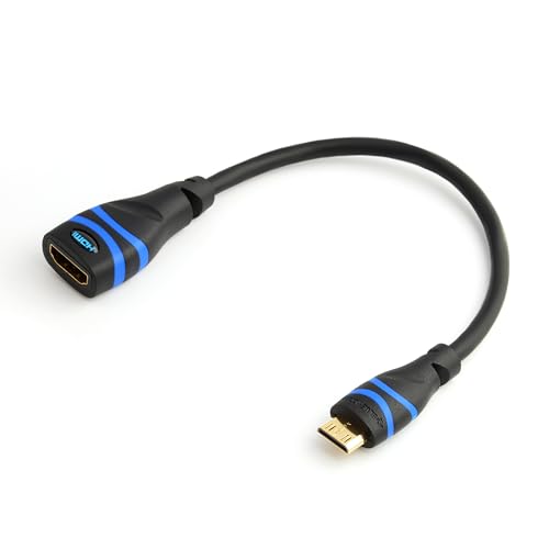 BlueRigger High Speed Mini HDMI(NOT Micro) to HDMI Female Adapter with Ethernet (20CM)