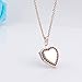 YOUFENG Love Heart Locket Necklace Holds Pictures Small Photo Lockets