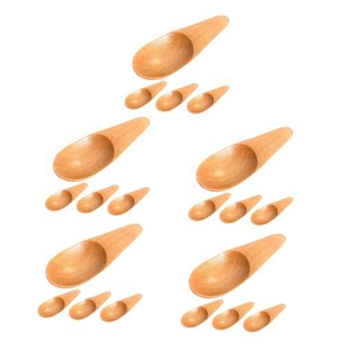 SOLUSTRE 20pcs Small Spoons Compact Dessert Scoops for Sugar Tea Ice Ergonomic Handle for Homes Tiny Wood Scoops