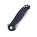 Kizer Cutlery KIV3463A1 Bad Dog Linerlock Black