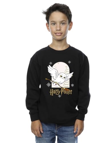 Harry Potter Boys Hedwig Christmas Sweatshirt Black 3-4 Years