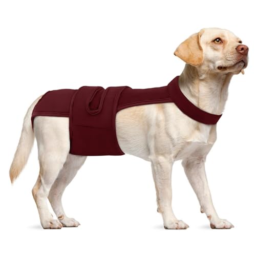 Image of Lelepet Female Dog Diapers with Suspenders, Washable & Reusable Wine Red | Adjustable and absorbent dog diapers for heat cycles, incontinence, and senior dogs. Comfortable all-day fit. Pet panties