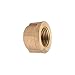 Thrifco 5318088 2 inch Brass Cap