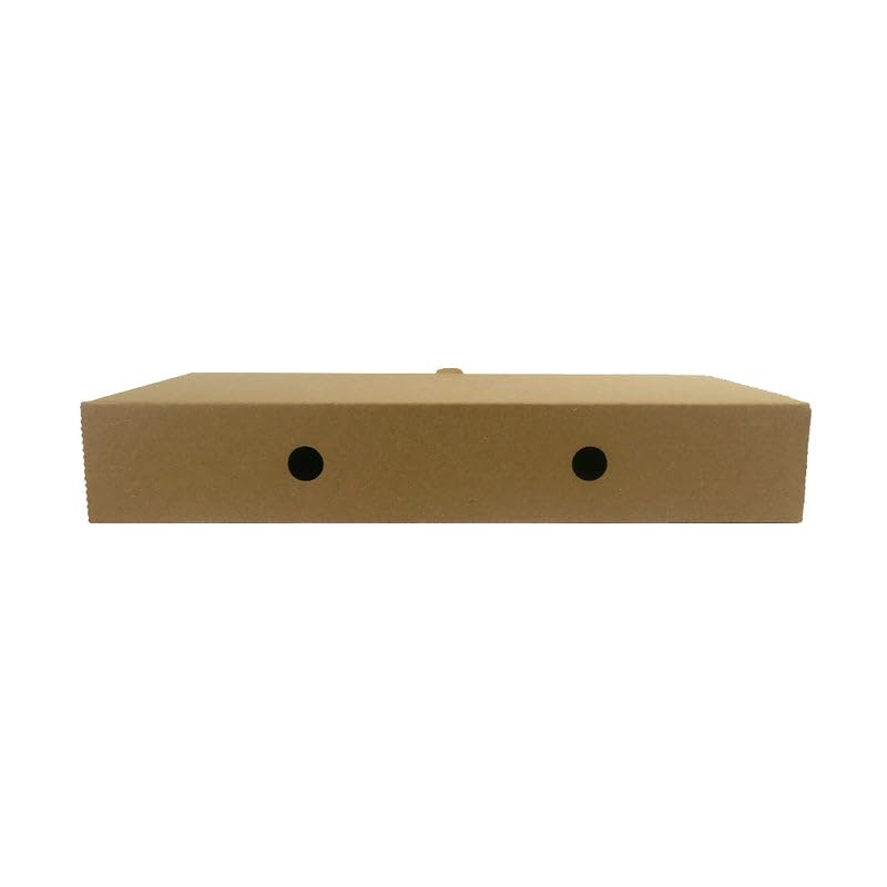 PacknWood - 100 Caja Rectangular Kraft Cartón | 30,0x15,0 cm | Hostelería Catering, Desechable, Ecológico, Delivery Take Away