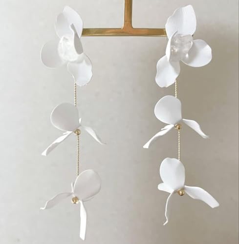 Shiro uC_ ANZT[ CO() <0701zC[JtEC[tbN>