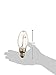 Plusrite 2001 02001 - LU50/Ed17/Med High Pressure Sodium Light Bulb,