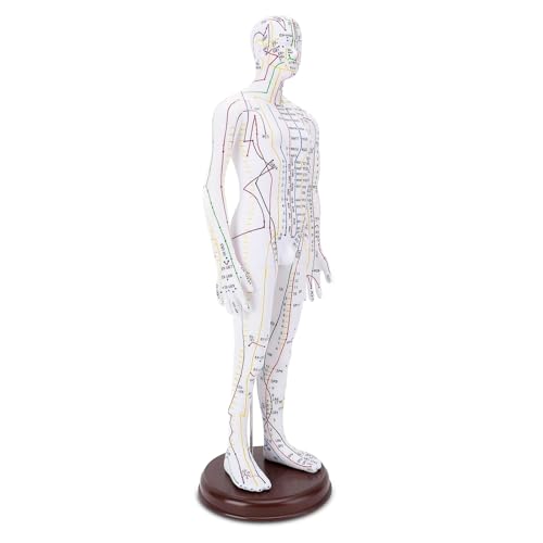 Modèle D'acupuncture du Corps Humain 52 Cm, Modèle de Point D'acupuncture du Mannequin D'enseignement Chinois Mâle/Femelle (Femelle)