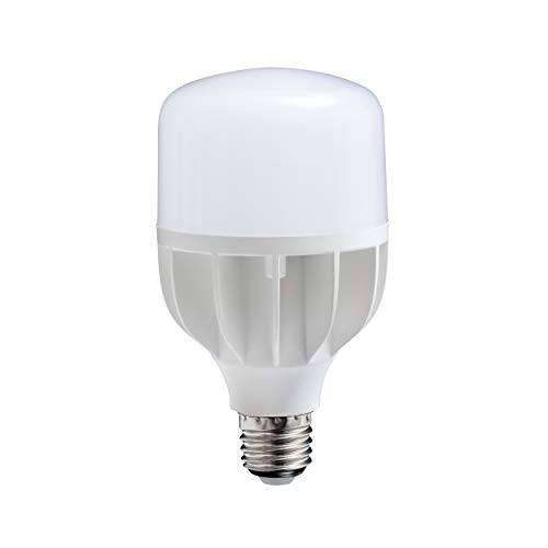 Ampoule led bulb 'Daylight ' 18 w