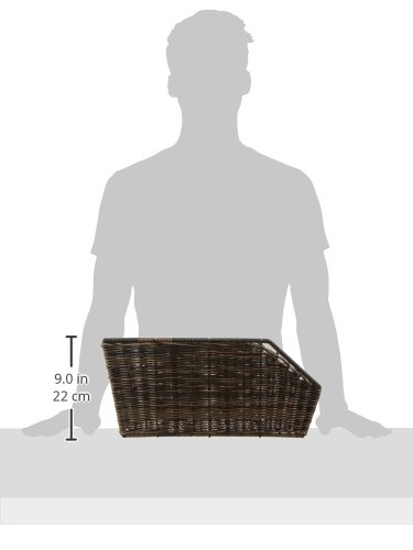 Basil Cento Fahrradkorb – Hinterrad – Rattan Look – wetterfest – Kunststoff – 41 x 25 x 11 cm– Braun