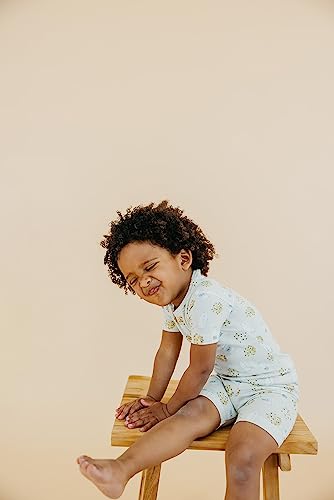 Copper Pearl Two Piece Short Sleeve Toddler Pajamas PJ Sets for Boys and Girls - Adorable Pattern Summer Pajamas Shorts to Keep Cool While Sleeping, Size 12 Months to 5T - Chip4