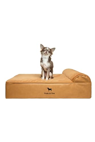 NOAH & PAW Dog Bed, 28x23x7.5 Inch, Orthopedic Dog Beds for Medium Size Pets, Eggshell Memory Foam...