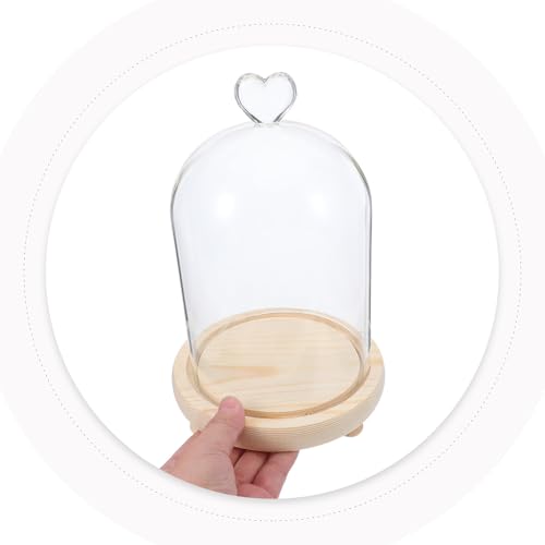 Cúpula para protección contra polvo MERRYHAPY para regalar flores preservadas 5