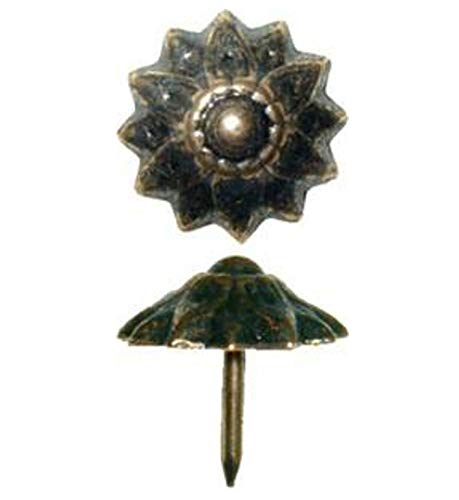 Galapagoz Oxford Finish Decorative Nail Clavos Dozen AD3535 USA