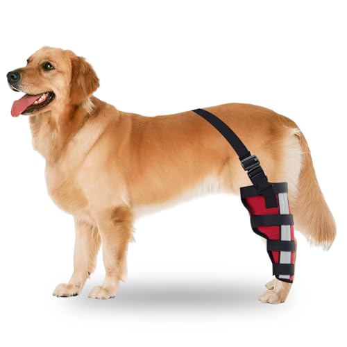 Dog Knee Brace for Back Leg, Dog Leg Protectors with Cruciate Ligament Injuries Cruciate Ligament Support for Injured Elderly Dogs Warm Joint & Relief Pain Featured Diving Cloth Material (Red M)