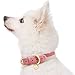 Blueberry Pet Leather Dog Collar for Female Dogs - Pink/Grey Stripes, Medium, 15-18