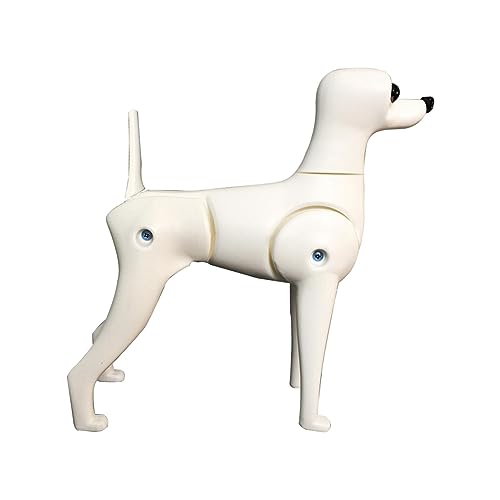 kowaku Gefälschtes Hundekörpermodell, Hundeschaufensterpuppe für die Tierhandlung, Haustierpflege-Praxis-Haustiersimulationsmodell, stehendes Hundemodell, Teddy-Hund