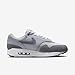 Nike Air Max 1 'Photon Dust/Smoke Grey'