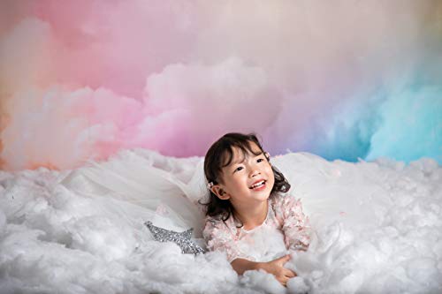 Fond de studio ciel et nuages Kate 2.2x1.5m en microfibre