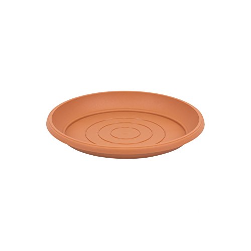 Preisvergleich Produktbild Terra Blumentopf Untersetzer Terra, terrakotta, 17 cm