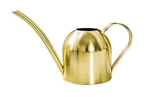 Anawakia Gießkanne Zimmerpflanzen Edelstahl Gießkanne mit Langer ...