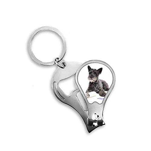 Coupe-ongles pour animaux DIYthinker idéal pour le toilettage à la maison