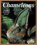 Barrons Books Chameleons Pet Owner Manual