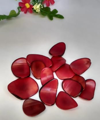 20 Tagua Red Slices Curved - Nail Shape from Colombia Rainforest. Undrilled. Size: 3.5 x 2.5 cm. Approx.