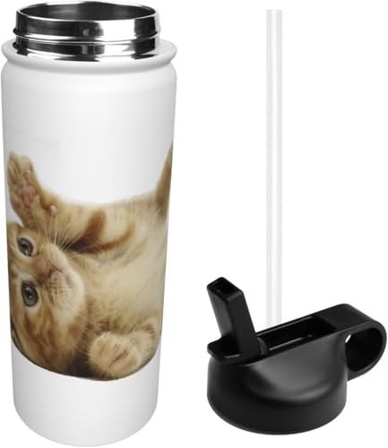 X|[c G gL lR XeX{g X|[c{g @r ^fM ۉ|bg e XeX  EH[^[{g  ϗϔM j̎q ̎q AEghA ֗ sp 532ml 蕨 [sAi]