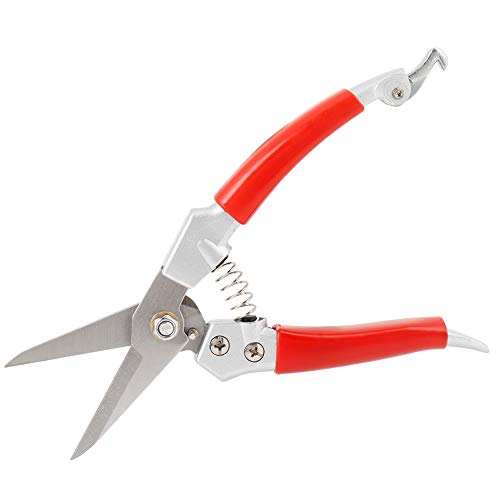 Qiter Gardening Plant Pruning Scissors Red Handle Straight Pruning Shears Hand Pruner Bonsai Straight Pruning Shears Gardening Fruit Tree Pruning Shears(Electroplating Process)
