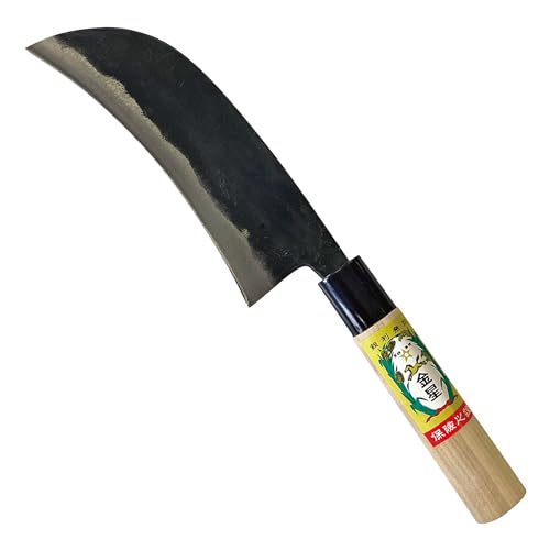 (Kinboshi)Rؕ150mm nbݍ| 1871