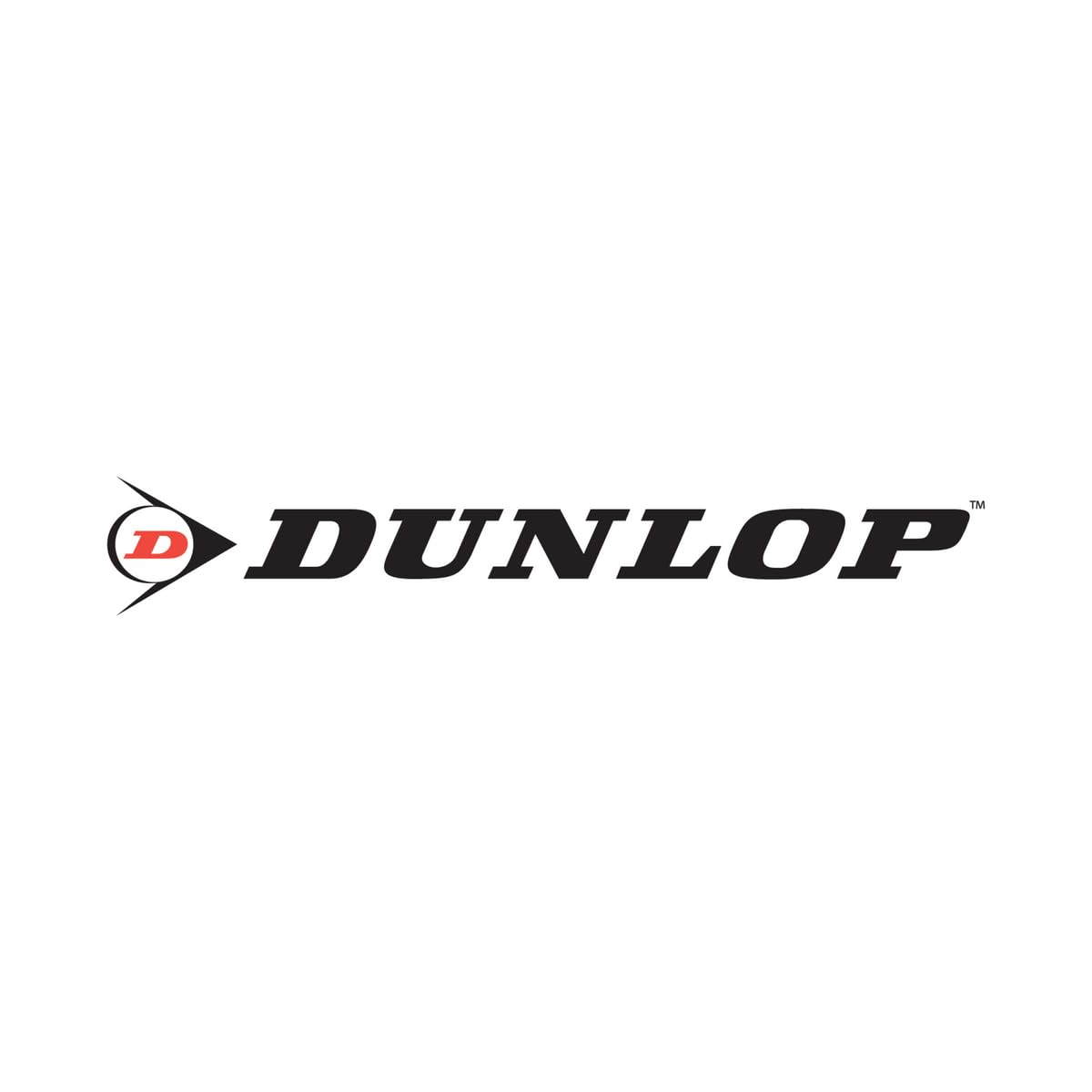 Dunlop Bramka do piłki nożnej – bramka do piłki nożnej 300 x 200 x 110 cm – bramka do piłki nożnej do ogrodu, dla dzieci i dorosłych – akcesoria treningowe do użytku wewnątrz i na zewnątrz – metalowa,