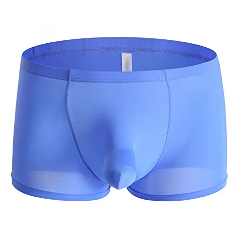 JEsilunmaMY Mens Elephant Nose Ice Silk Underwear Low Waist Long Pouch Boxer Briefs Solid Color Moisture-Wicking Underpants2