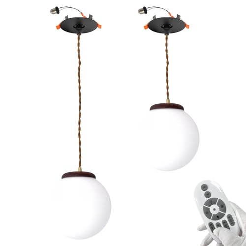 SKIVTGLAMP Compatible E26 Adapter T24 Connector Conversion Kit Can Retrofit Recessed Light Pendants Remote Control for 4~5in Holes Adjustable Frosted White Globe Glass Cover Walnut Wood Socket
