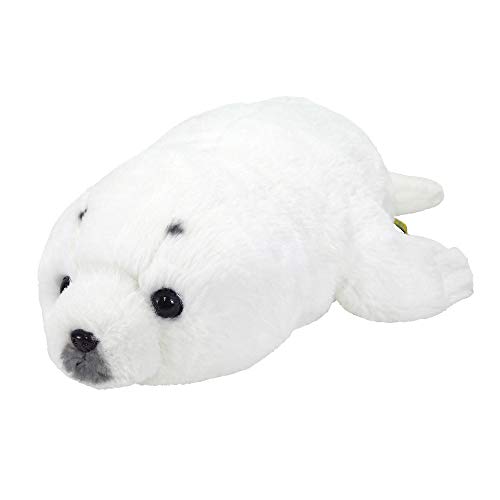 ひざあざらし S ひざあざらし S