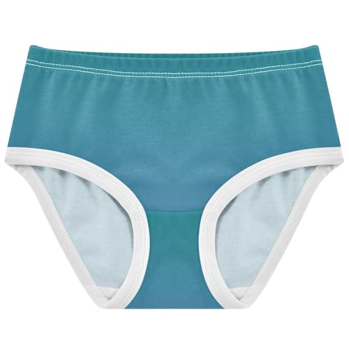 Joisal Teal Blue Steel Gradient Girls Underwear Toddler 2t Cotton Panties for Girl Florals Briefs Girls Undies