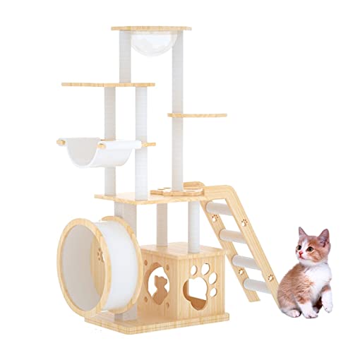 Lbg^[ L^[ ؂ȔL^[ LbgzC[ FD nbN L ܂Ƃ|[ VRTCUR ybgpi  ^s gݗ @\  mCYȂ 萫 ω׏d lC()